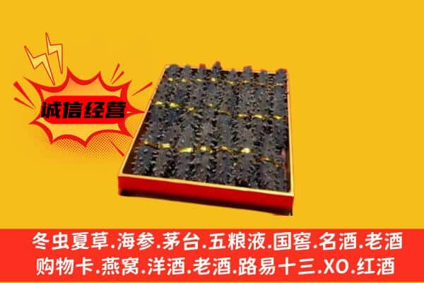 自流井区回收海参